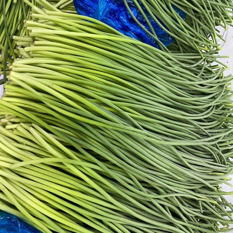 Garlic Sprouts