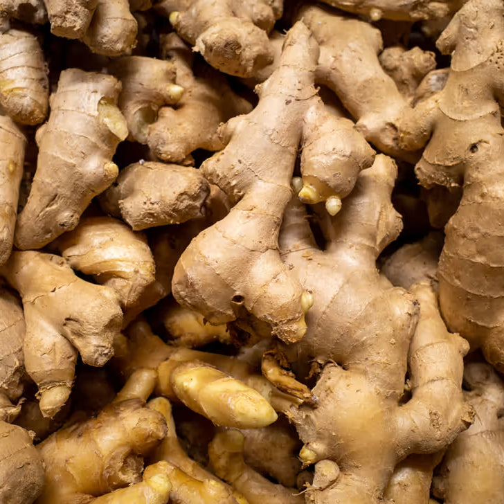 Ginger