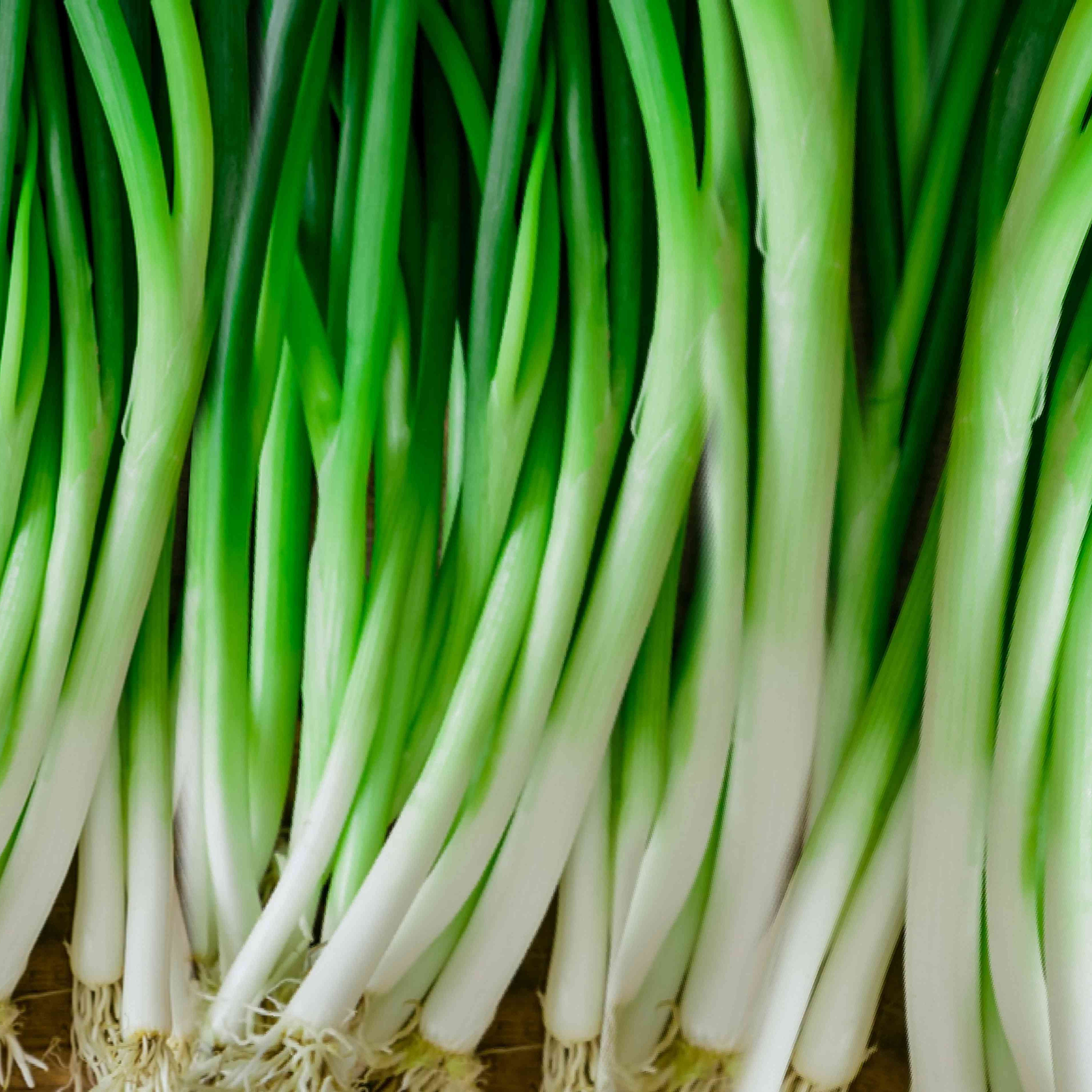 Green Onion Leaves