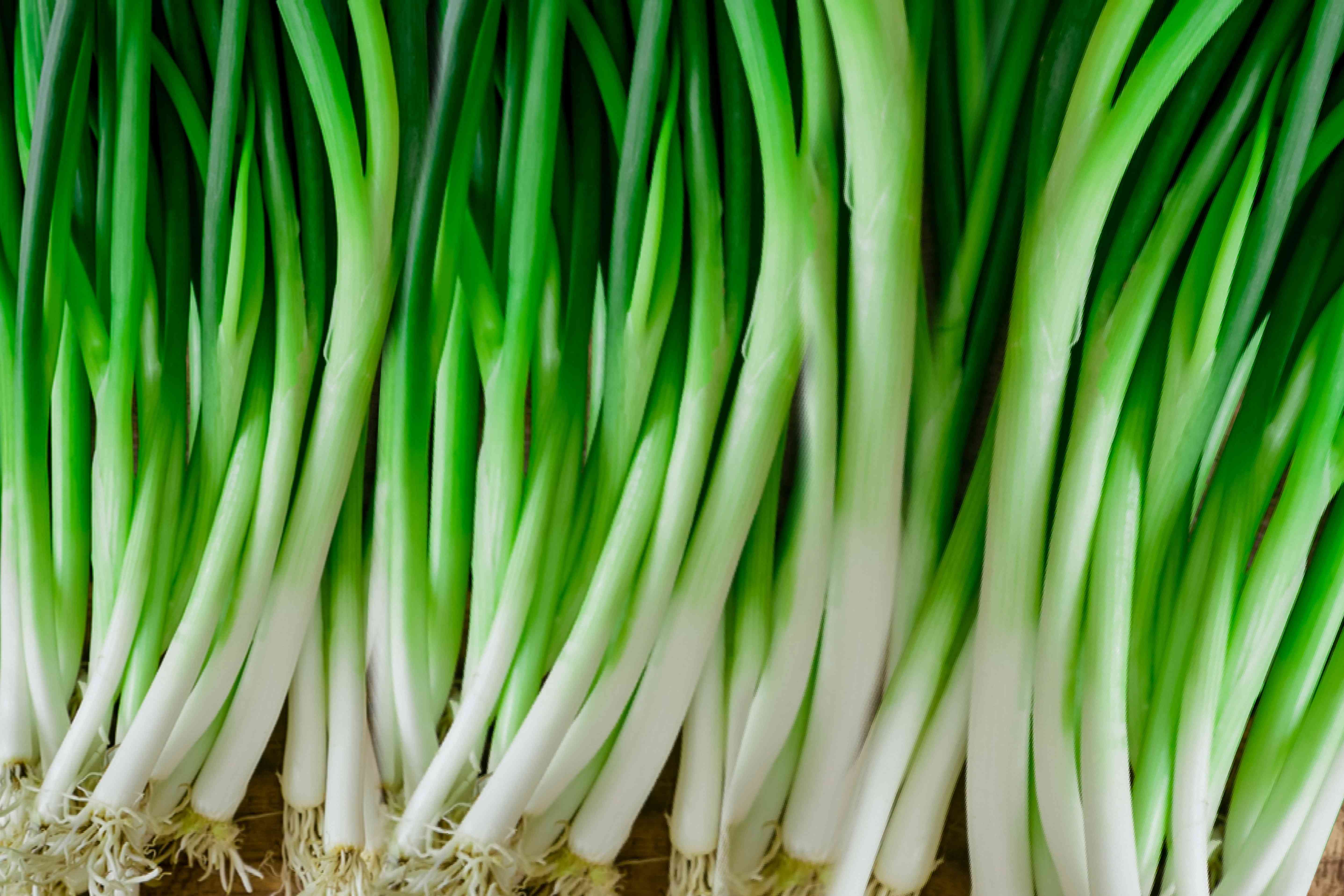 Green Onion Leaves