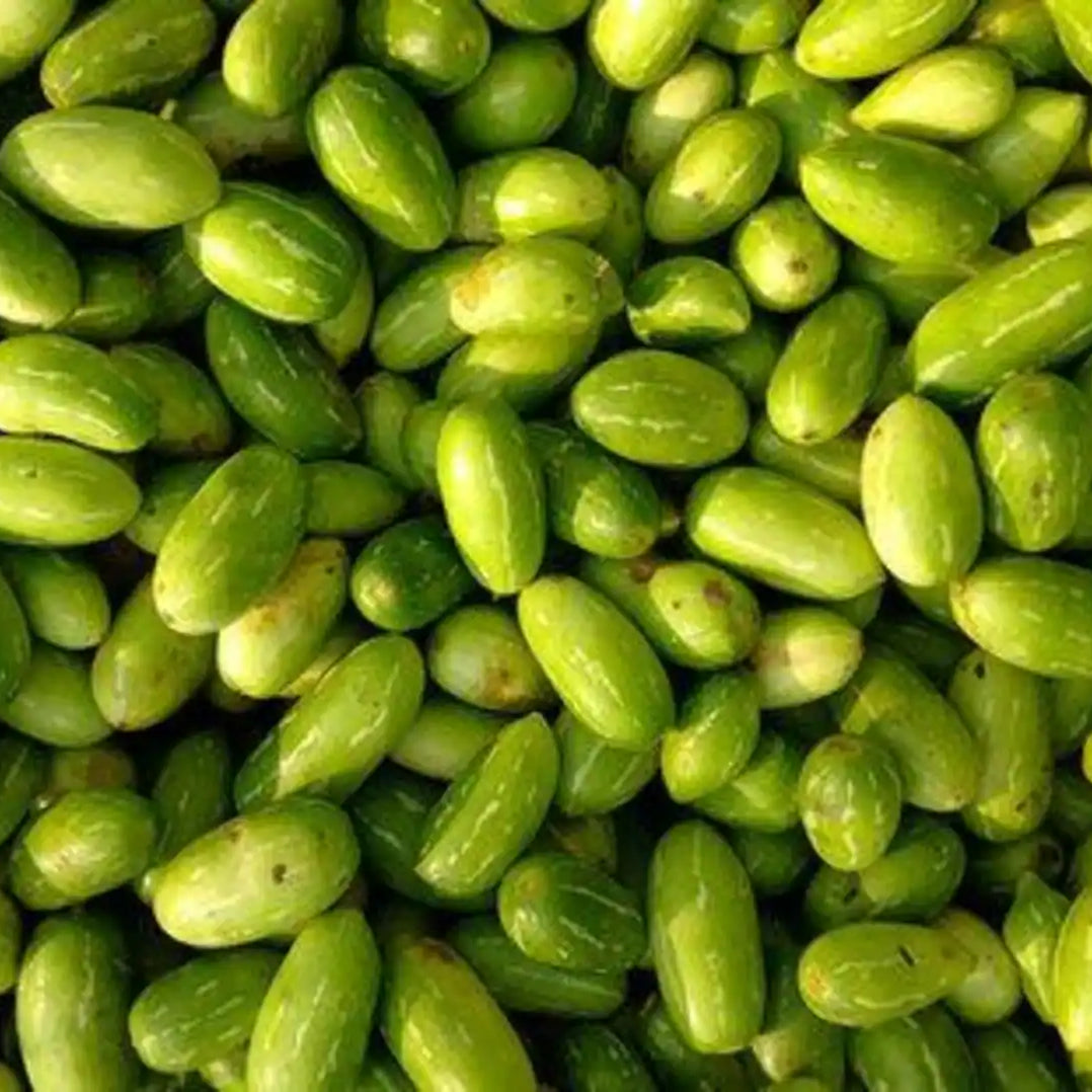 Ivy Gourd
