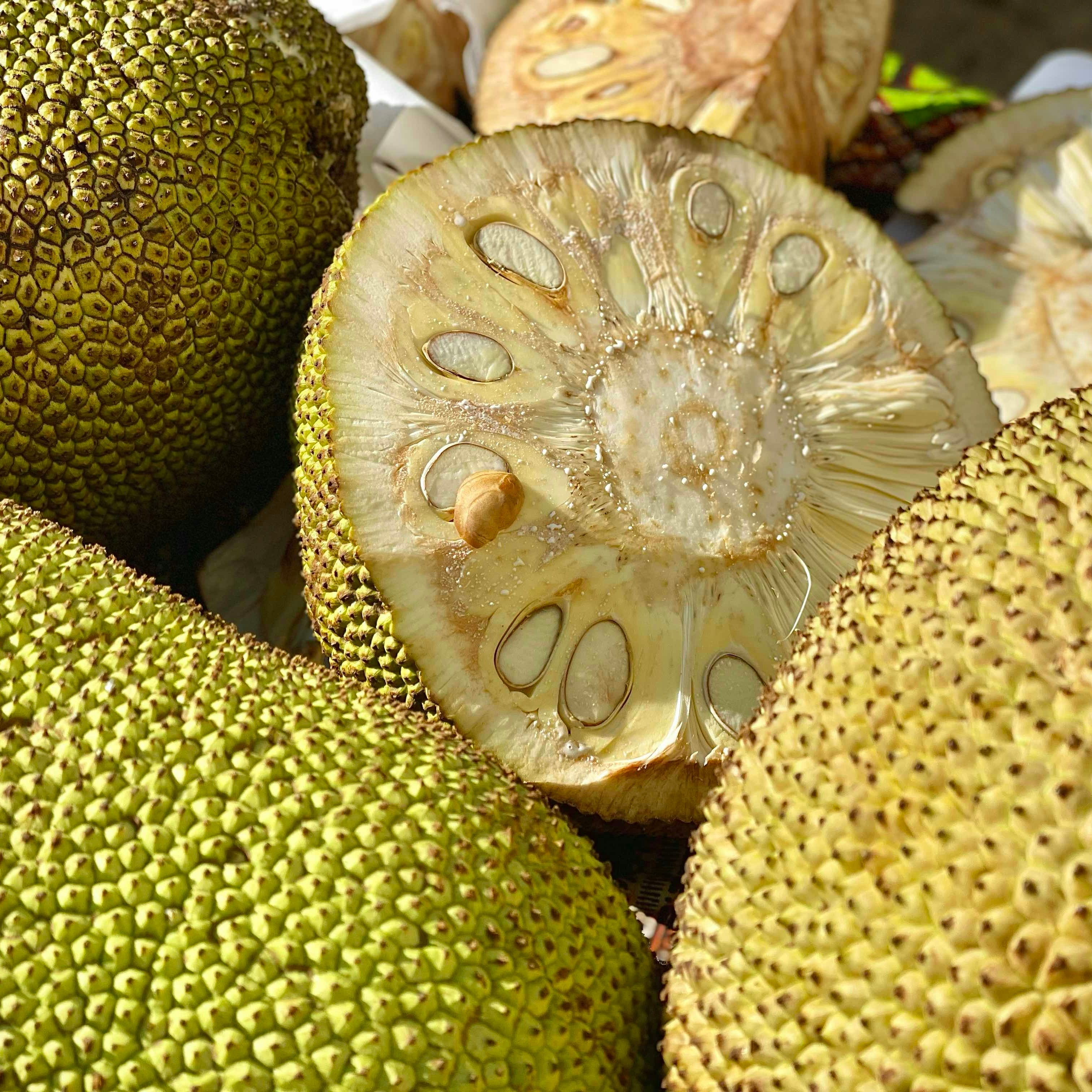 Jackfruit Veg