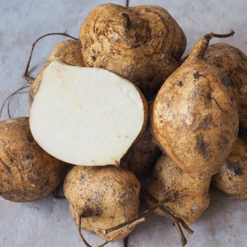 Jicama