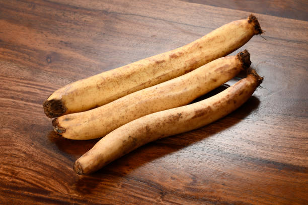 Lotus Root