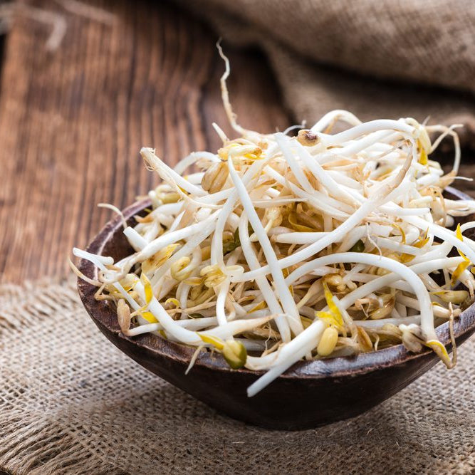 Mung Bean Sprouts