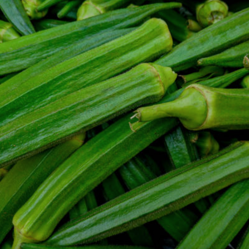 Okra - Ladyfinger
