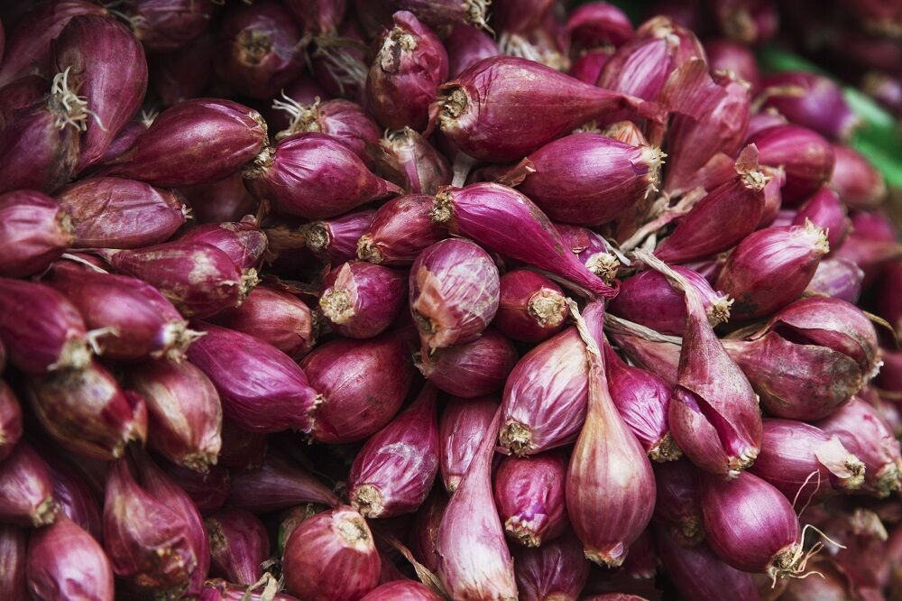 Onion Small