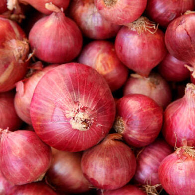 Onion