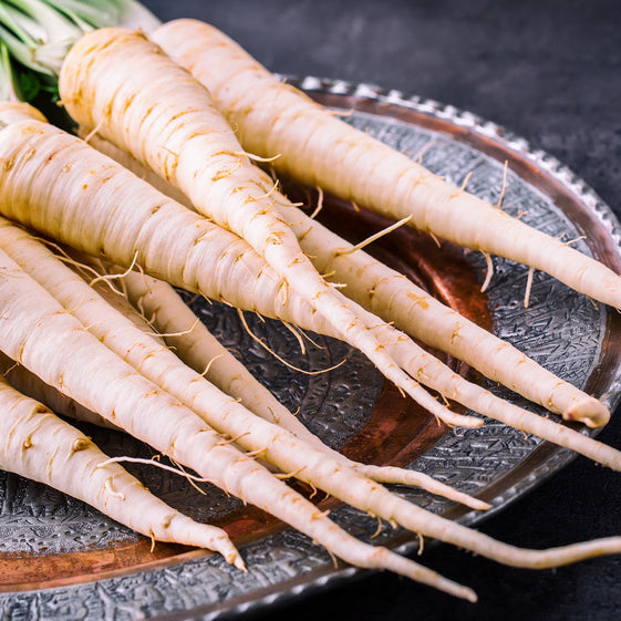 Parsnip