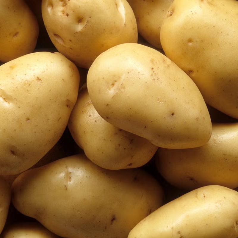Potato