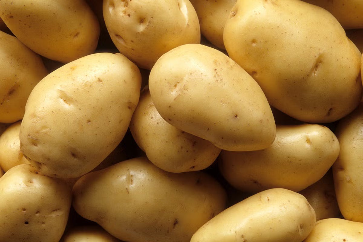 Potato