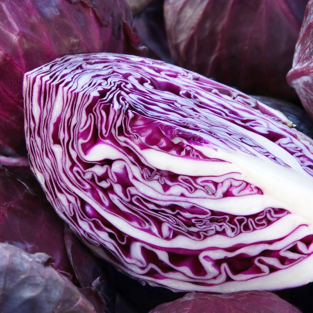 Red Cabbage