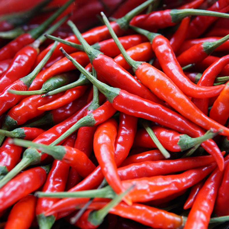 Red Chili