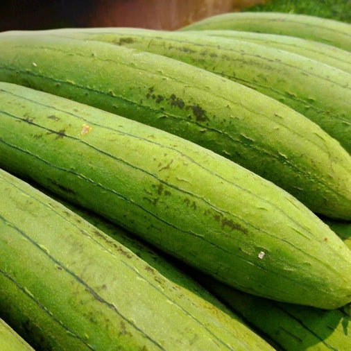 Sponge Gourd