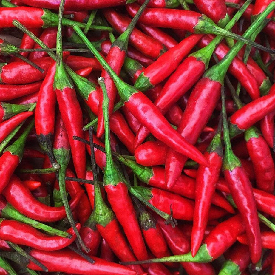 Thai Chili