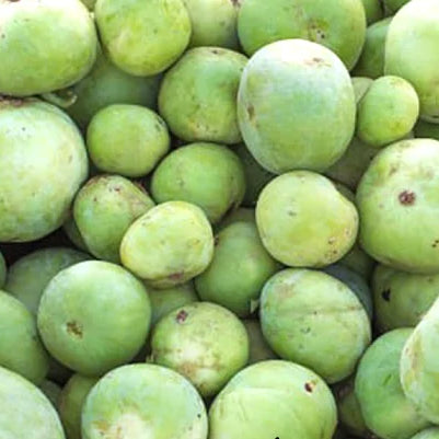 Tinda - Apple Gourd