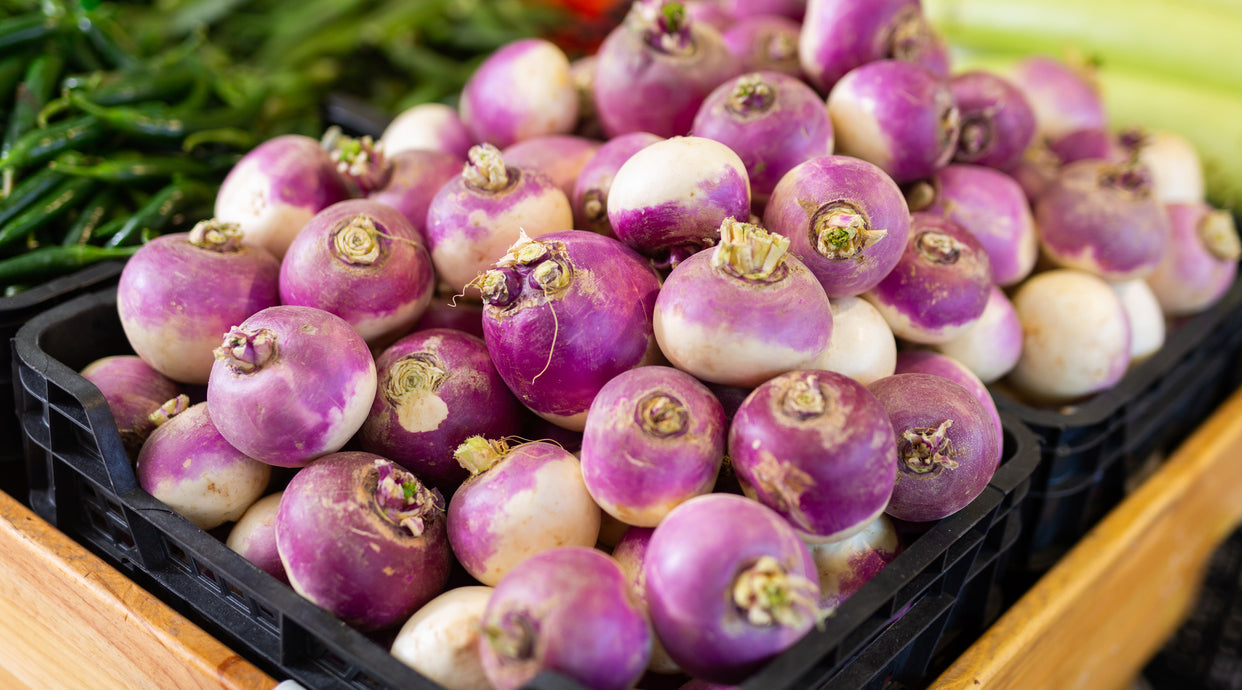 Turnip Purple