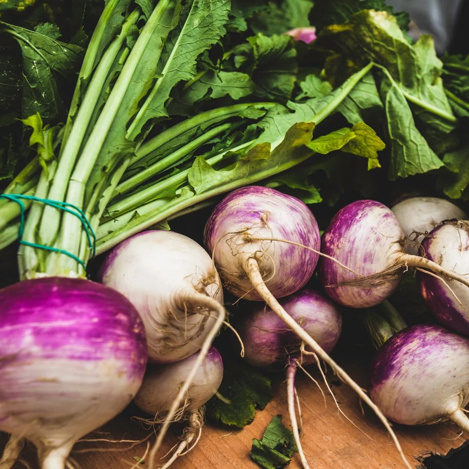 Turnip Root