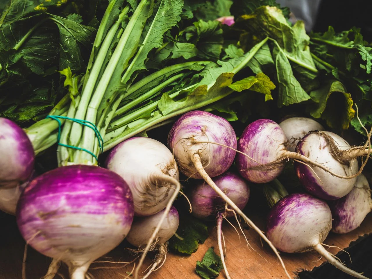 Turnip Root