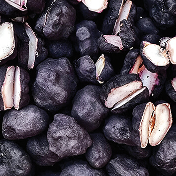 Water Chestnut