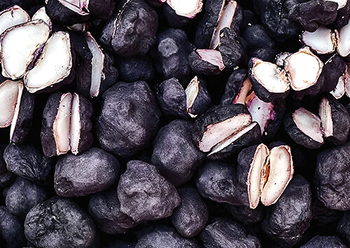 Water Chestnut