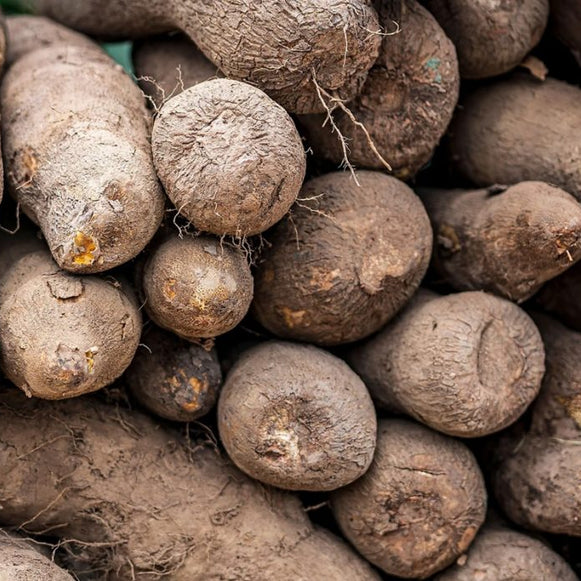 Yam