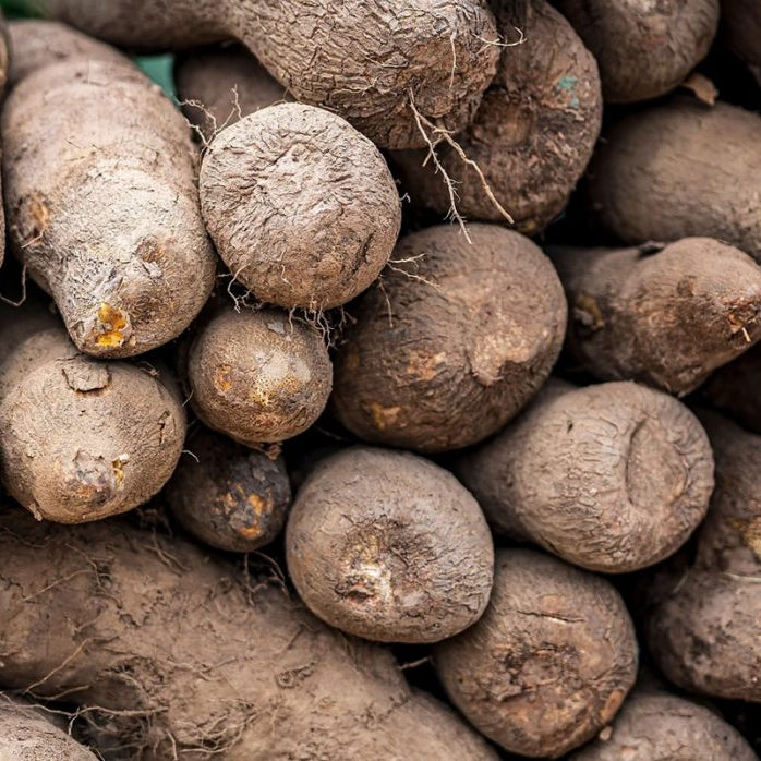 Yam