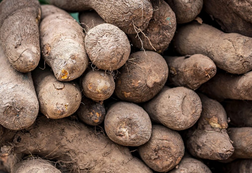Yam