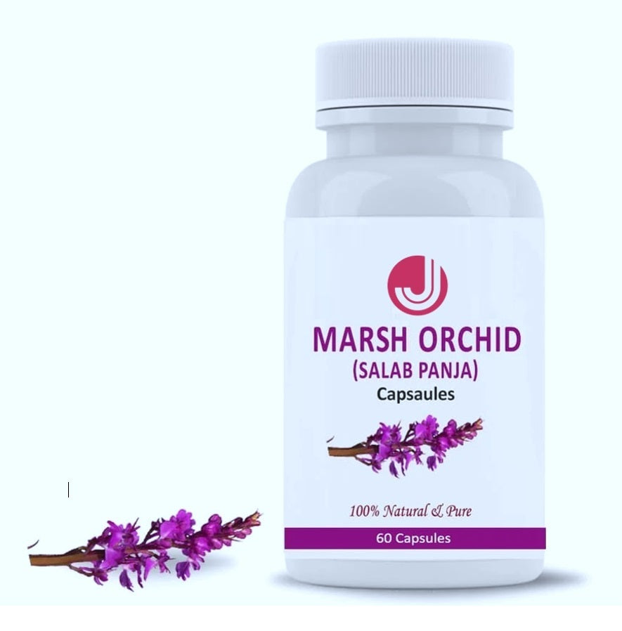 Salab Panja (Marsh Orchid) Capsules