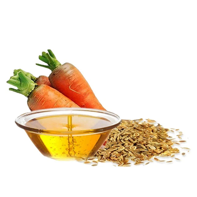 Carrot Seed Oil 120ml