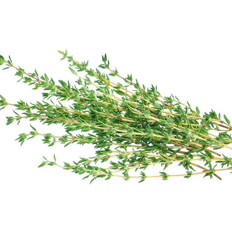 Thyme Leaves 50g