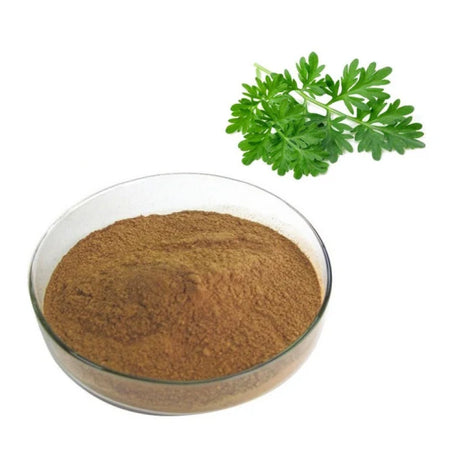 Wormwood Powder 100g