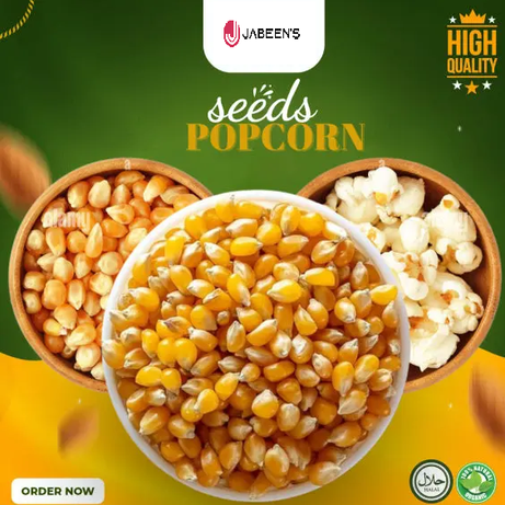 Popcorn Seeds (1kg Pack )