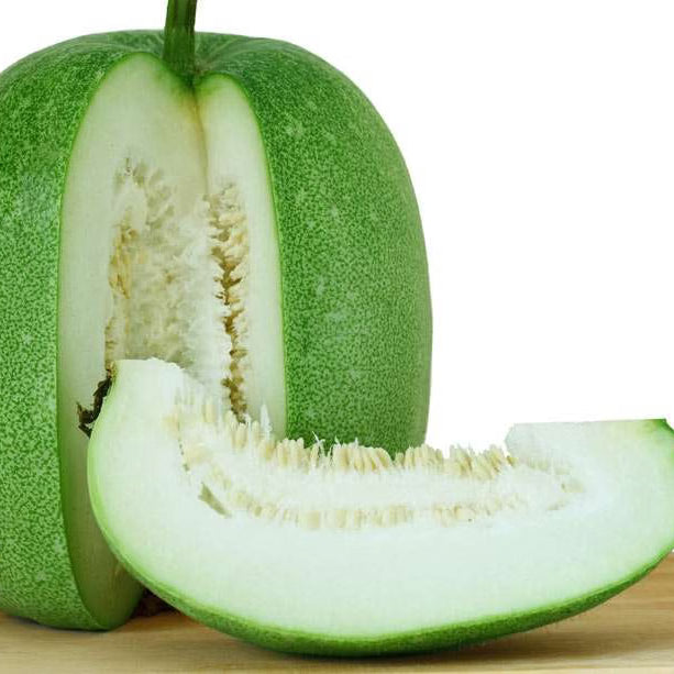 Ash Gourd