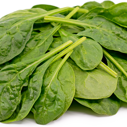 Baby Spinach