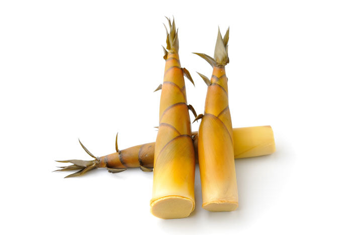 Bamboo Shoots
