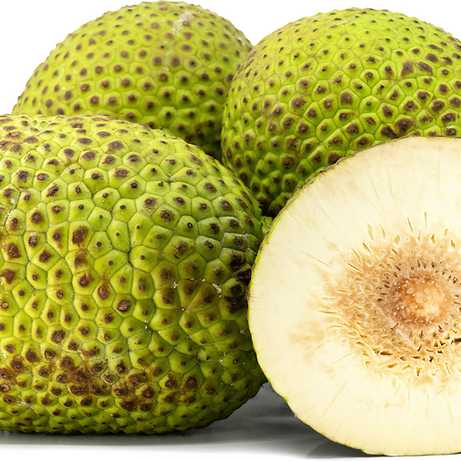 Breadfruit