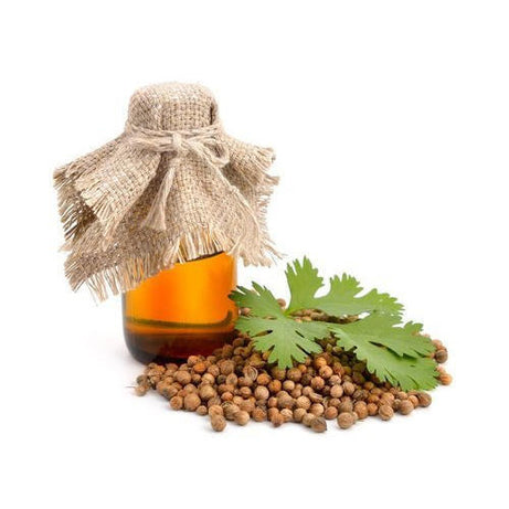 Cold Pressed Oil, coriander, Coriander Oil