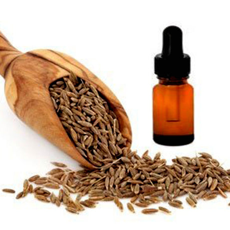 Cold Pressed Oil, Cumin Seed, Cumin Seed Oil