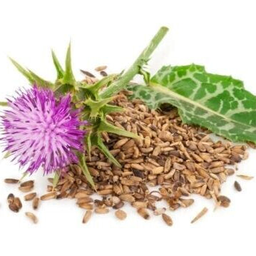 Capsules Online, Capsules, Milk Thistle