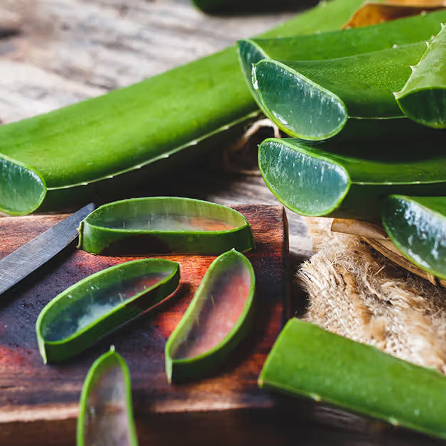 Aloe Vera - veg use