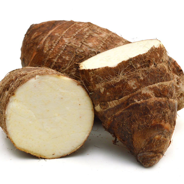 Arrowroot
