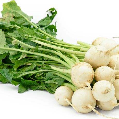 Turnip Baby
