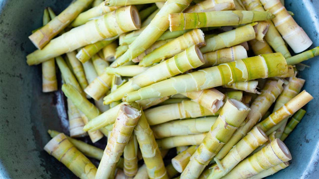 Bamboo Shoots