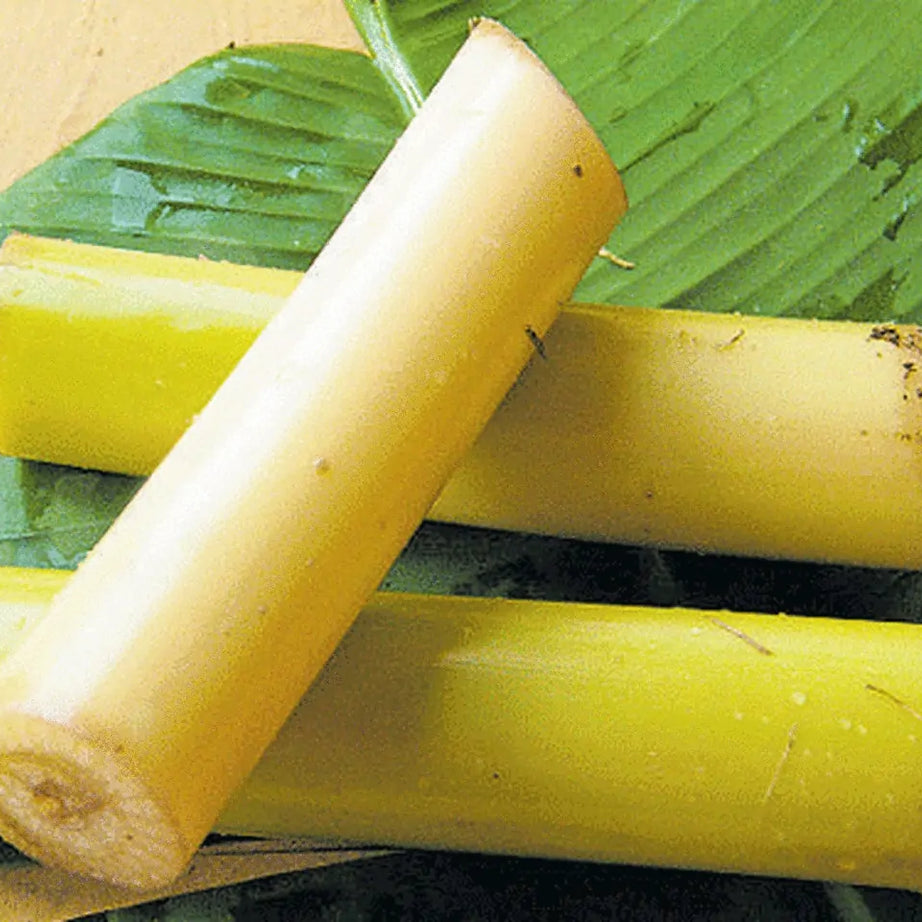 Banana Stem