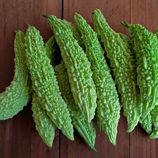 Bitter Gourd