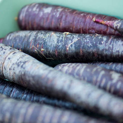 Black Carrot