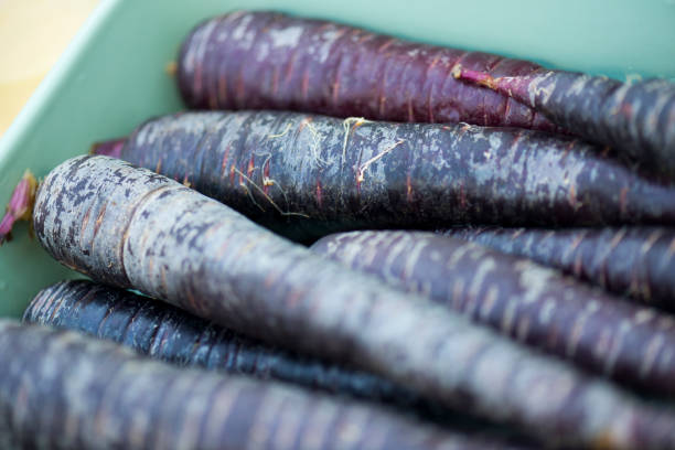 Black Carrot