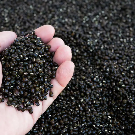 Black Gram Sprouts