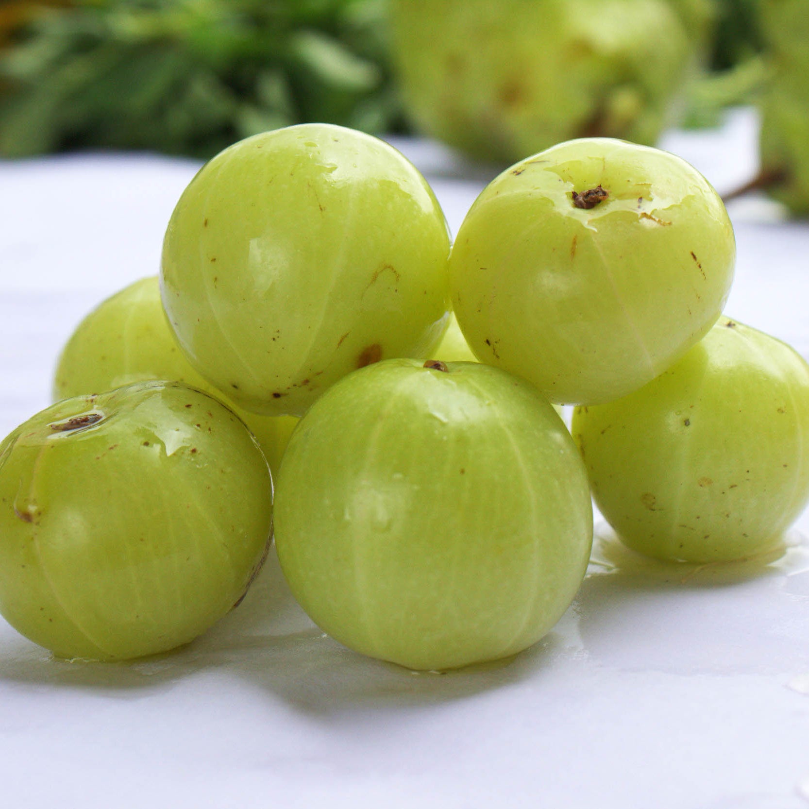 Fress Amla (gooseberry) Online -  1kg Pack